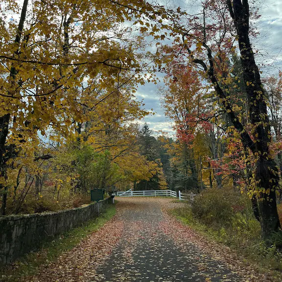 Walking and Hiking Trails in or near Historic-Stoddartsville-PA-Sign-Lane